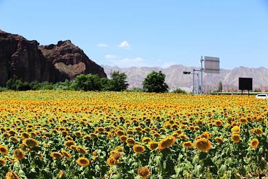 PC喜剧动作游戏《我是兼职工》6月26日登陆Steam